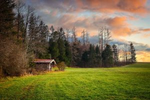 Der Traum vom Blockhaus: Naturverbunden und Gemütlich Wohnen